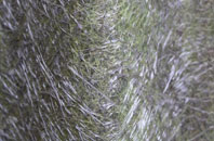 Crimble fibreglass roof work